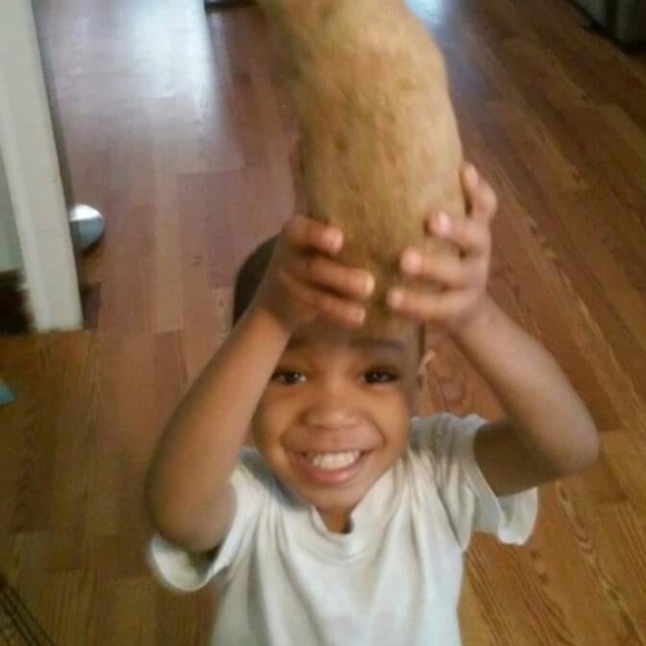 Meet your Posher, Chris - Picture 1 of 1